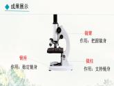 初中  生物  冀少版（2024）  七年級上冊1.1.1 顯微鏡的使用 課件