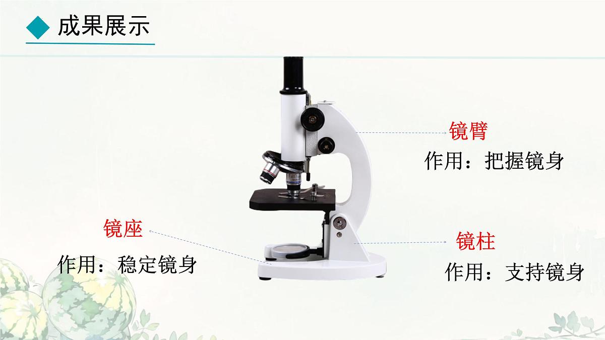 初中  生物  冀少版（2024）  七年级上册1.1.1 显微镜的使用 课件第5页