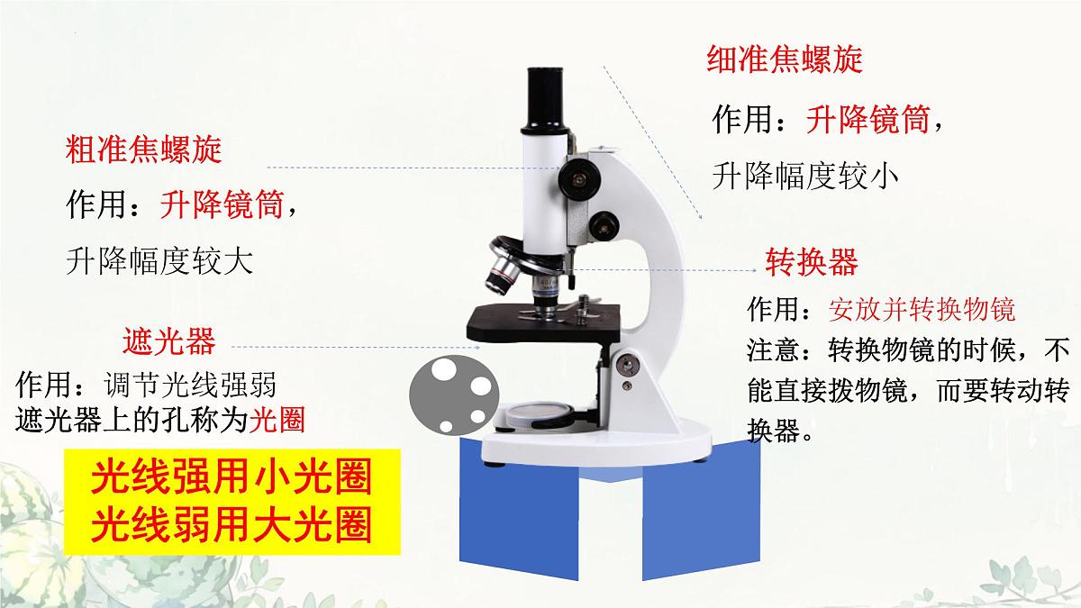 初中  生物  冀少版（2024）  七年级上册1.1.1 显微镜的使用 课件第7页