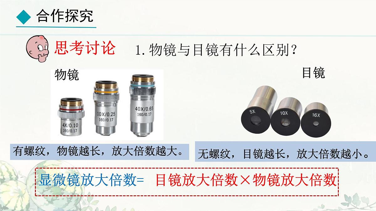 初中  生物  冀少版（2024）  七年级上册1.1.1 显微镜的使用 课件第8页