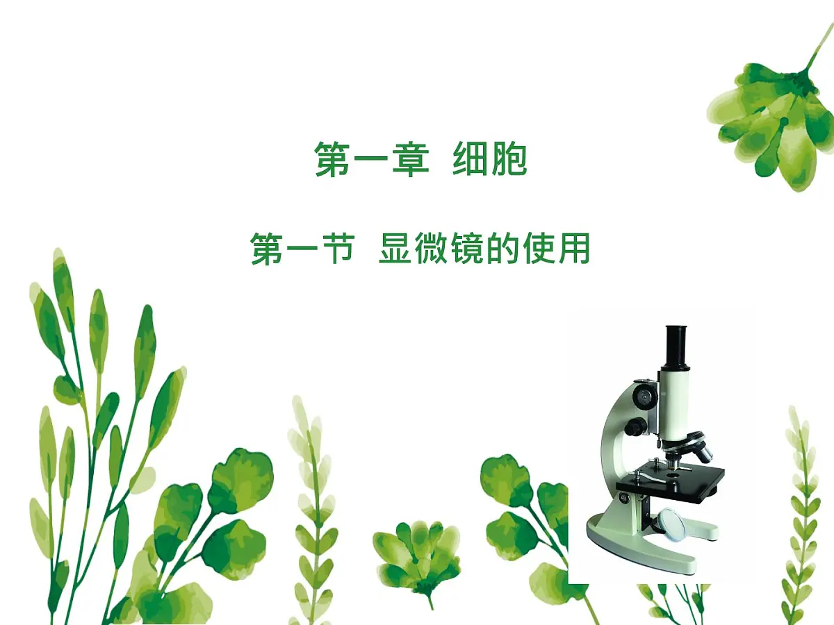 初中 生物 冀少版（2024） 七年级上册1.1.1 显微镜的使用 课件第1页