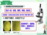 初中  生物  冀少版（2024）  七年級上冊1.1.1 顯微鏡的使用 課件