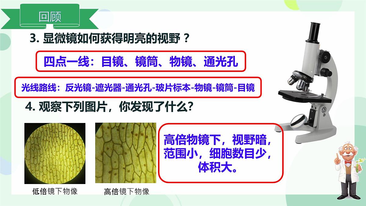 初中  生物  冀少版（2024）  七年级上册1.1.1 显微镜的使用 课件第3页