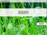 復(fù)習(xí)4：實(shí)驗(yàn)探究  課件+教案+知識點(diǎn)+習(xí)題