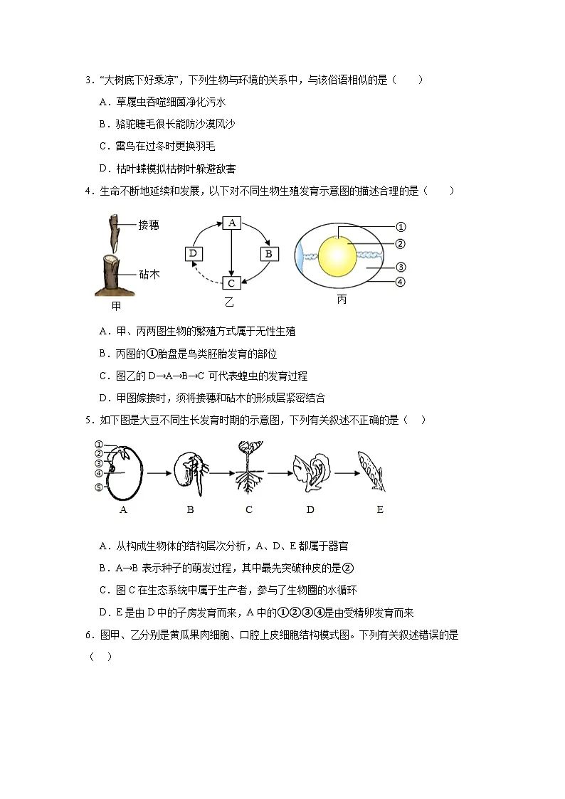 2025年山东省济南市高新区八年级中考一模生物试题（附答案解析）第2页