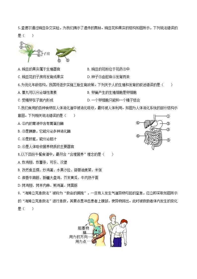 2025年河南省许昌市中考生物试卷（含答案）第2页