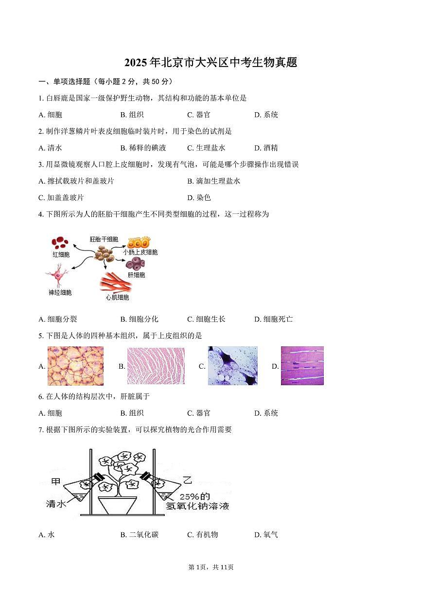 2025年北京市大兴区中考生物真题（含答案）第1页