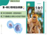 1.2.2 細(xì)胞通過分裂和分化形成不同組織（教學(xué)課件）-2025-2026學(xué)年七年級生物上冊（濟(jì)南版2024）