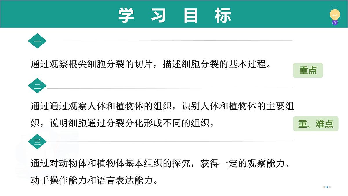 1.2.2 细胞通过分裂和分化形成不同组织（教学课件）-2025-2026学年七年级生物上册（济南版2024）第3页