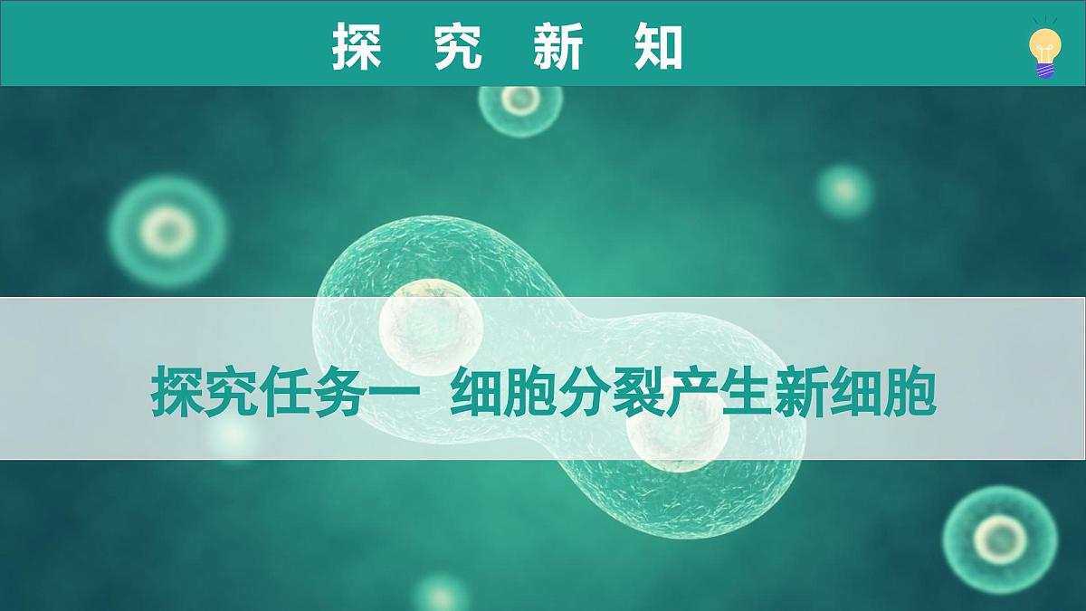 1.2.2 细胞通过分裂和分化形成不同组织（教学课件）-2025-2026学年七年级生物上册（济南版2024）第6页