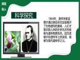 1.2.1 生物學(xué)中的科學(xué)思維（教學(xué)課件）-2025-2026學(xué)年六年級生物上冊（魯科版五四學(xué)制2024）