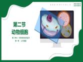 2.1.2 動物細(xì)胞（課件）-2025-2026學(xué)年六年級生物上冊（魯科版五四學(xué)制2024）