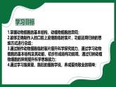 2.1.2 動物細(xì)胞（課件）-2025-2026學(xué)年六年級生物上冊（魯科版五四學(xué)制2024）