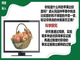 1.2.2 生物學(xué)中的科學(xué)探究（課件）-2025-2026學(xué)年六年級生物上冊（魯科版五四學(xué)制2024）