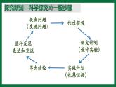1.2.2 生物學(xué)中的科學(xué)探究（課件）-2025-2026學(xué)年六年級生物上冊（魯科版五四學(xué)制2024）
