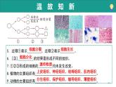 1.2.3 生物體在結(jié)構(gòu)和功能上是一個統(tǒng)一整體（教學(xué)課件）-2025-2026學(xué)年七年級生物上冊（濟(jì)南版2024）