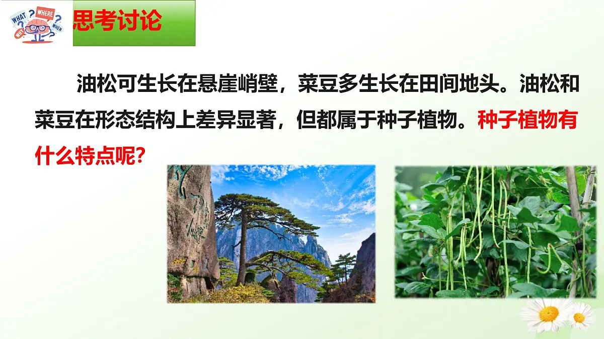 2025年冀少版七年级生物上册 2.1.2 植物（二、种子植物）（课件）第2页