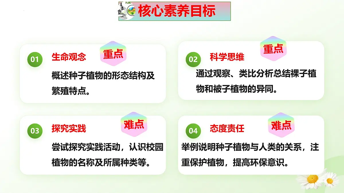 2025年冀少版七年级生物上册 2.1.2 植物（二、种子植物）（课件）第3页