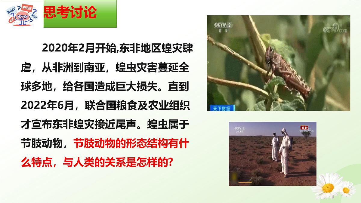 2025年冀少版七年级生物上册 2.1.3 无脊椎动物（二、节肢动物）（课件）第2页