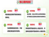 2025年冀少版七年級生物上冊 2.1.3 無脊椎動物（二、節(jié)肢動物）（課件）