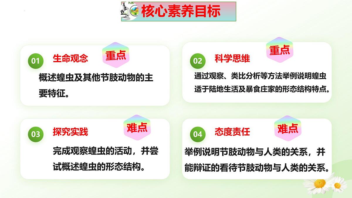 2025年冀少版七年级生物上册 2.1.3 无脊椎动物（二、节肢动物）（课件）第3页