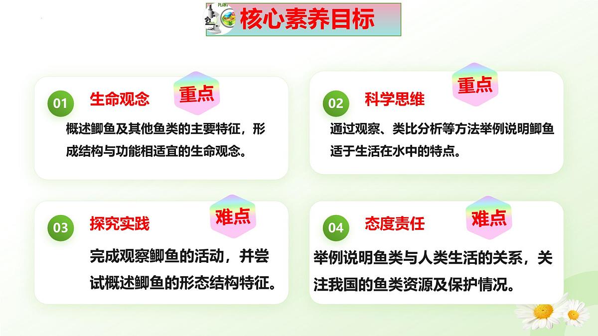2025年冀少版七年级生物上册 2.1.4  脊椎动物（一、鱼类）（课件）第3页