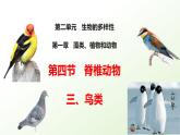 2025年冀少版七年級(jí)生物上冊(cè) 2.1.4  脊椎動(dòng)物（三、鳥類）（課件）