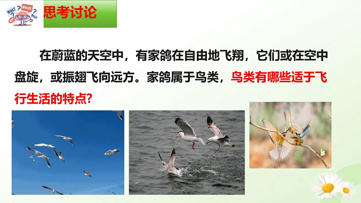 2025年冀少版七年级生物上册 2.1.4 脊椎动物（三、鸟类）（课件）第2页