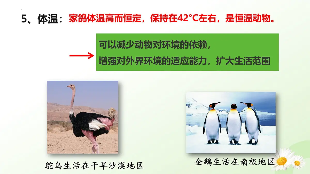 2025年冀少版七年级生物上册 2.1.4 脊椎动物（三、鸟类）（课件）第8页