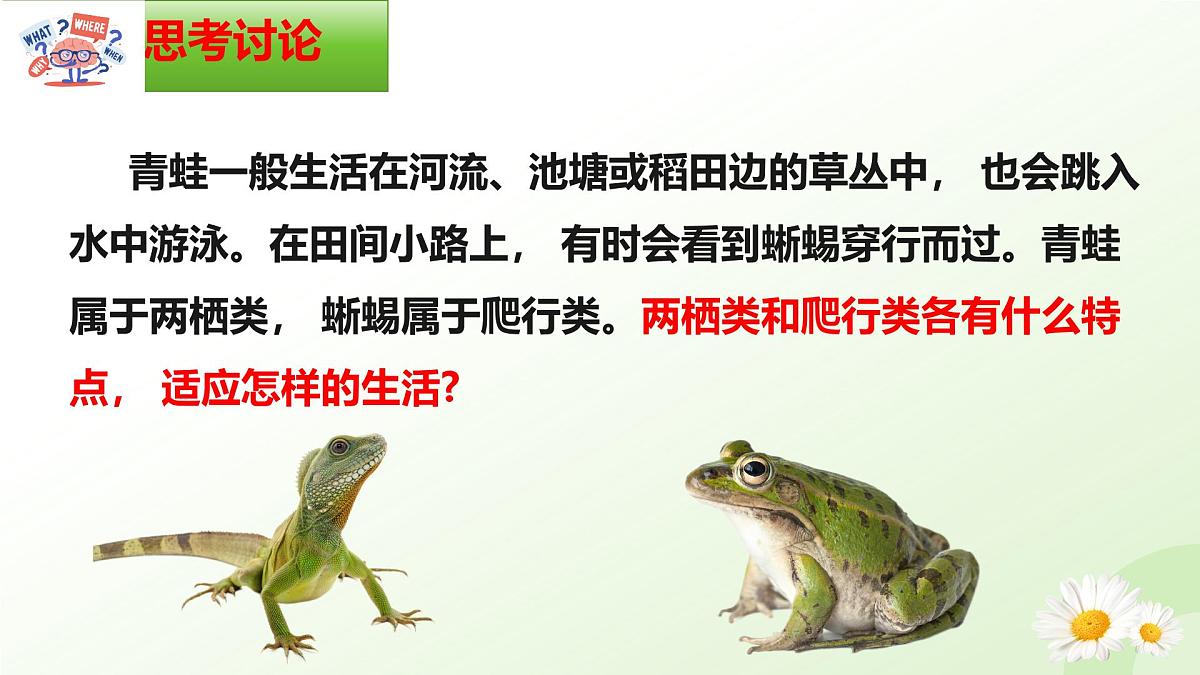 2025年冀少版七年级生物上册 2.1.4 脊椎动物（二、两栖类和爬行类）（课件）第2页