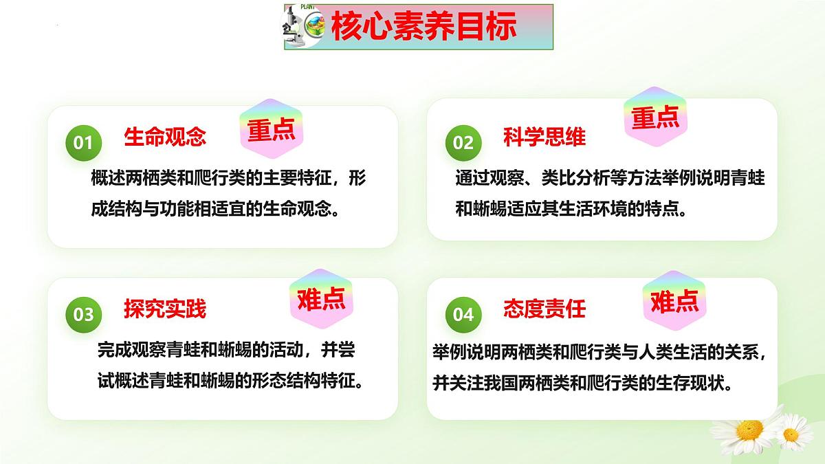 2025年冀少版七年级生物上册 2.1.4 脊椎动物（二、两栖类和爬行类）（课件）第3页
