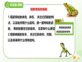 2025年冀少版七年級(jí)生物上冊(cè) 2.1.4  脊椎動(dòng)物（二、兩棲類和爬行類）（課件）