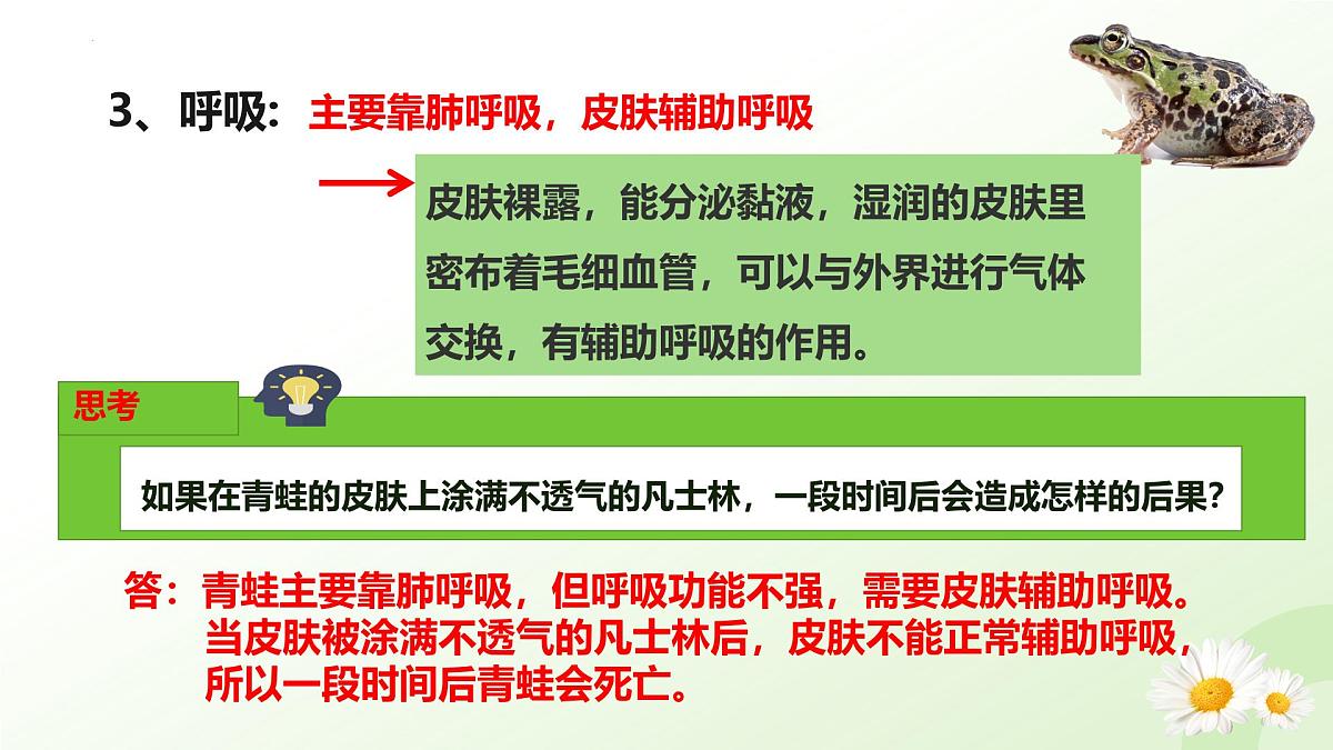 2025年冀少版七年级生物上册 2.1.4 脊椎动物（二、两栖类和爬行类）（课件）第7页