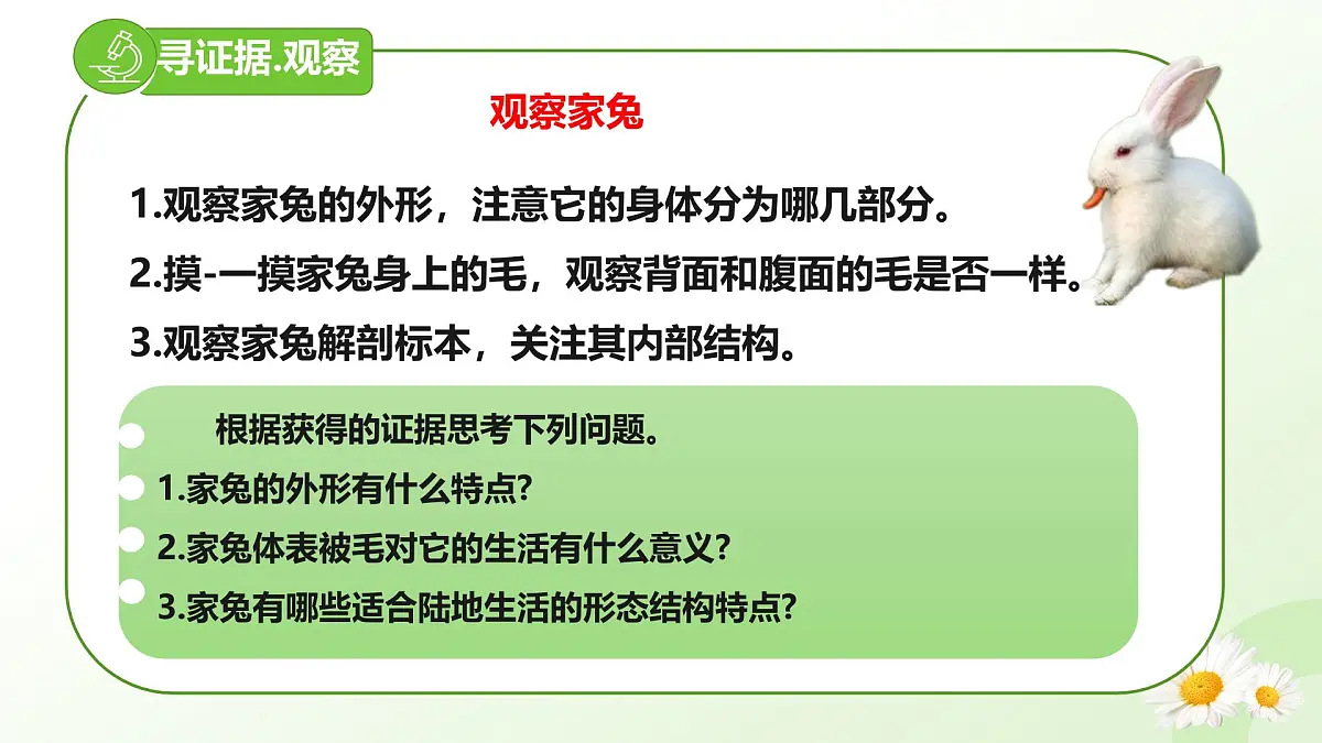 2025年冀少版七年级生物上册 2.1.4 脊椎动物（四、哺乳类）（课件）第4页