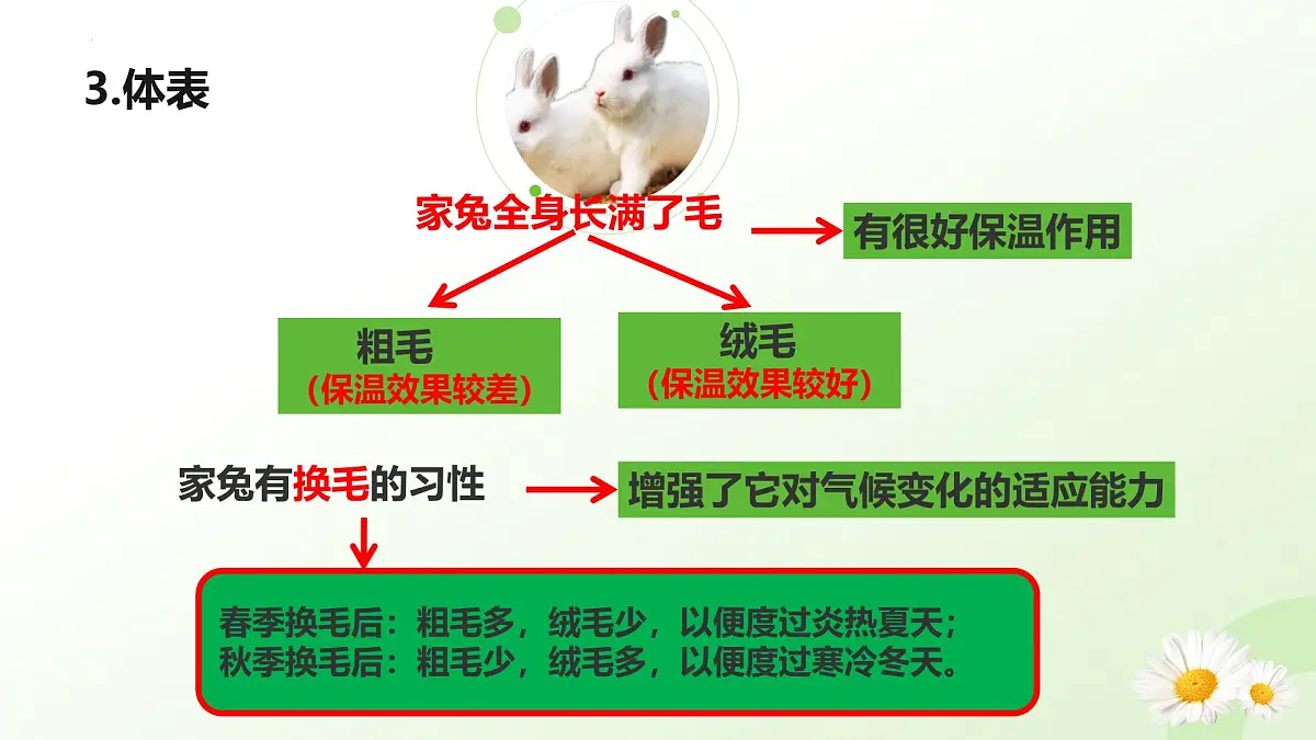 2025年冀少版七年级生物上册 2.1.4 脊椎动物（四、哺乳类）（课件）第7页