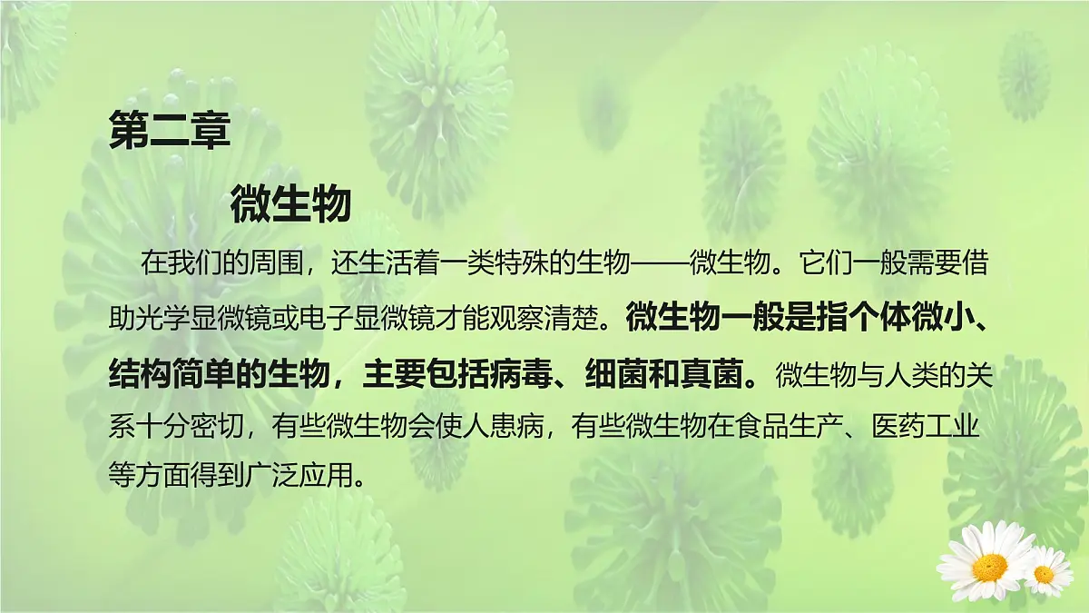 2025年冀少版七年级生物上册 2.2.1 病毒（课件）第1页