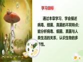 2025年冀少版七年級(jí)生物上冊(cè) 2.2.1 病毒（課件）