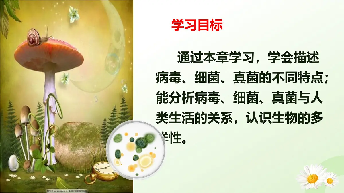 2025年冀少版七年级生物上册 2.2.1 病毒（课件）第2页