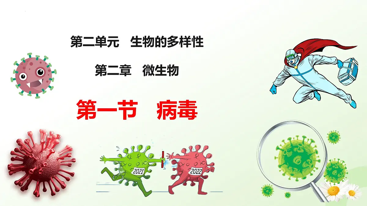2025年冀少版七年级生物上册 2.2.1 病毒（课件）第3页