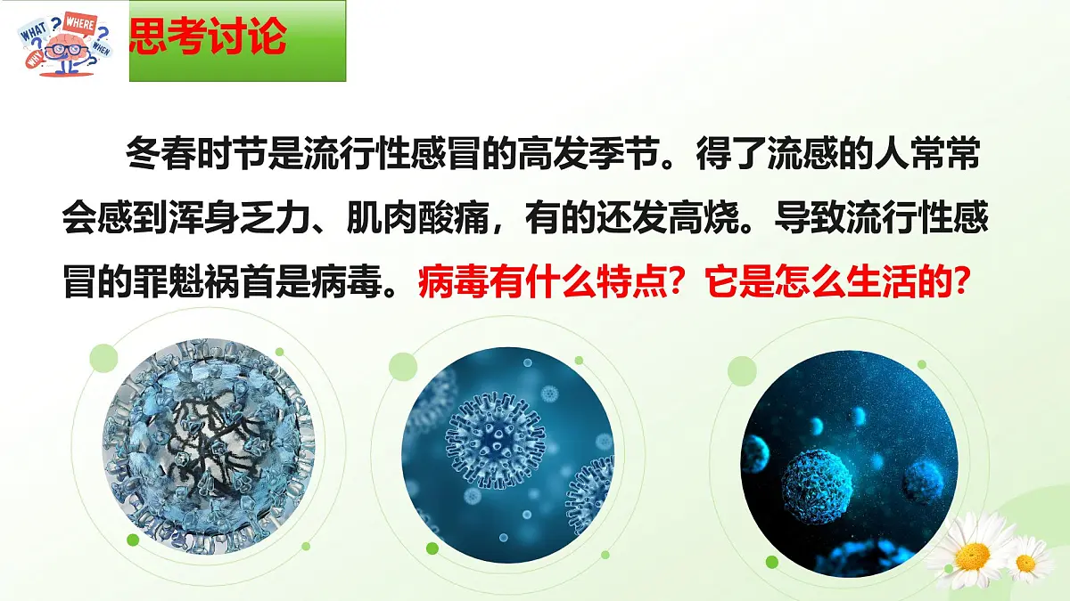 2025年冀少版七年级生物上册 2.2.1 病毒（课件）第4页