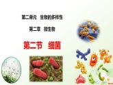 2025年冀少版七年級(jí)生物上冊(cè) 2.2.2 細(xì)菌（課件）