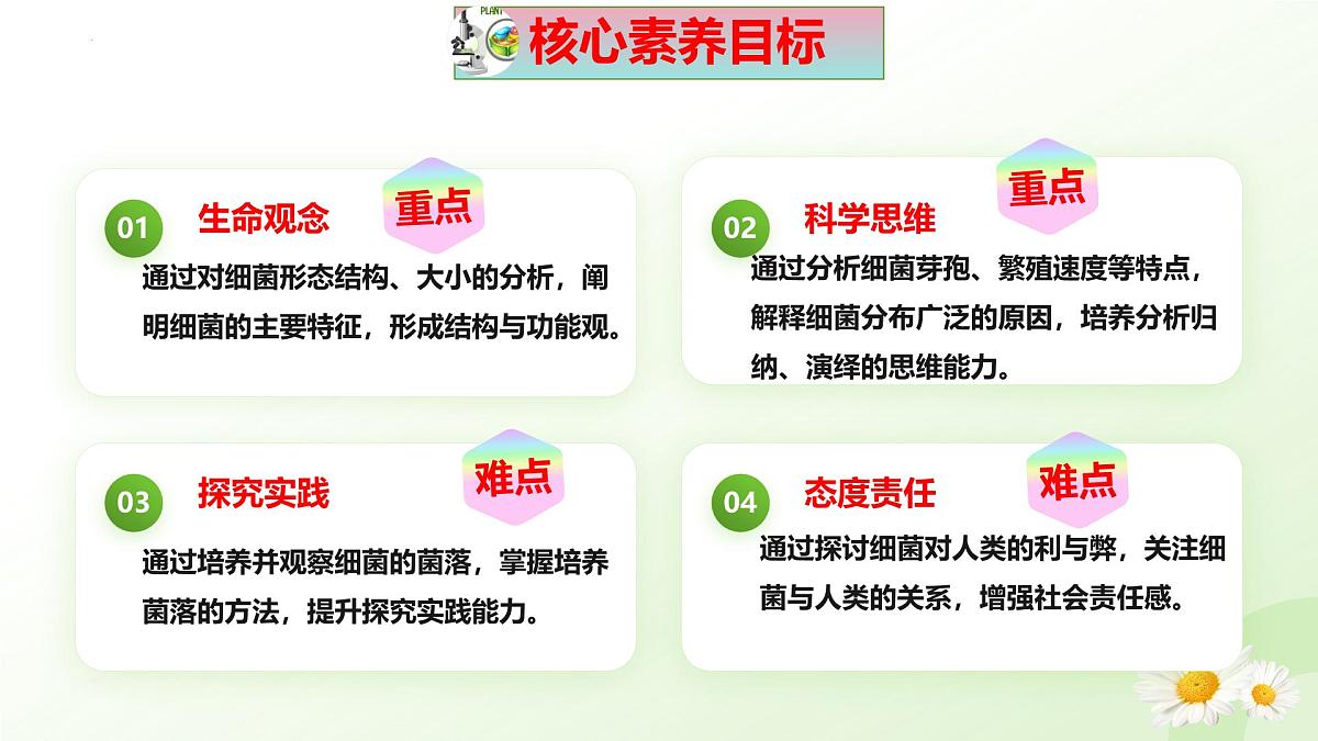 2025年冀少版七年级生物上册 2.2.2 细菌（课件）第3页