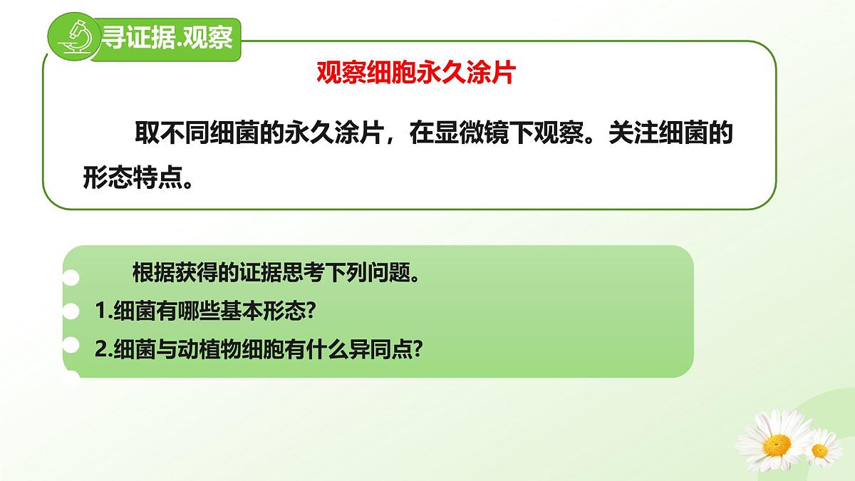 2025年冀少版七年级生物上册 2.2.2 细菌（课件）第4页