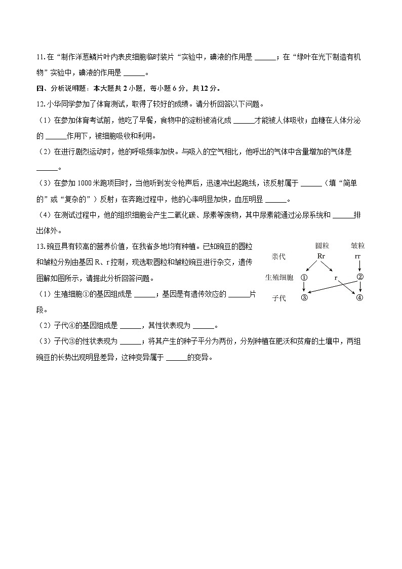 2025年甘肃省白银市、武威市、嘉峪关市、临夏州中考生物学试卷（含解析）第2页
