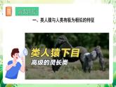 北師大版生物八下 7.21.3 《人類的起源與進(jìn)化》課件+素材