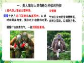 北師大版生物八下 7.21.3 《人類的起源與進(jìn)化》課件+素材