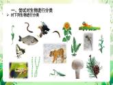 北師大版生物八下 7.22.1《生物的分類(lèi) 》課件