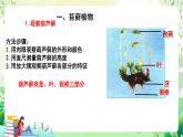 北師大版生物八下 7.22.3 《植物的主要類群》課件 +素材