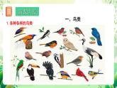 北師大版生物八下 7.22.4 《動物的主要類群—鳥類和哺乳動物》課件 +素材