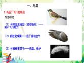 北師大版生物八下 7.22.4 《動物的主要類群—鳥類和哺乳動物》課件 +素材